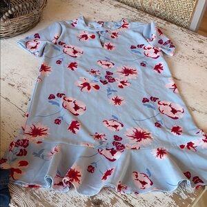 Mud Pie Light Blue Floral Ruffle Hem Dress